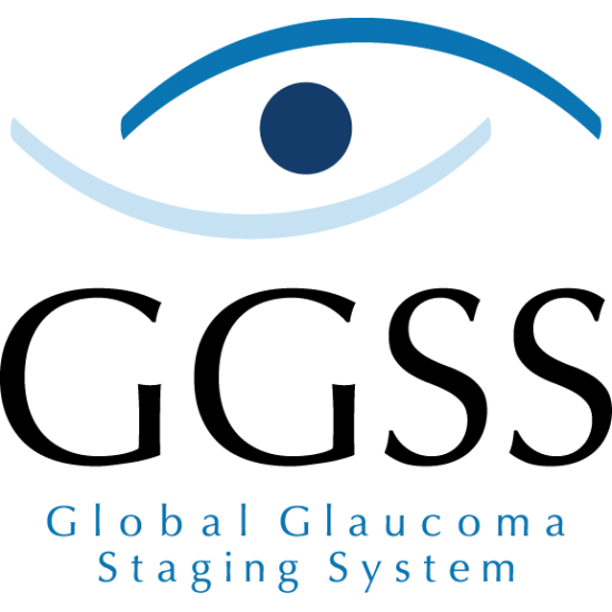 Glaucoma Damage Classification System®