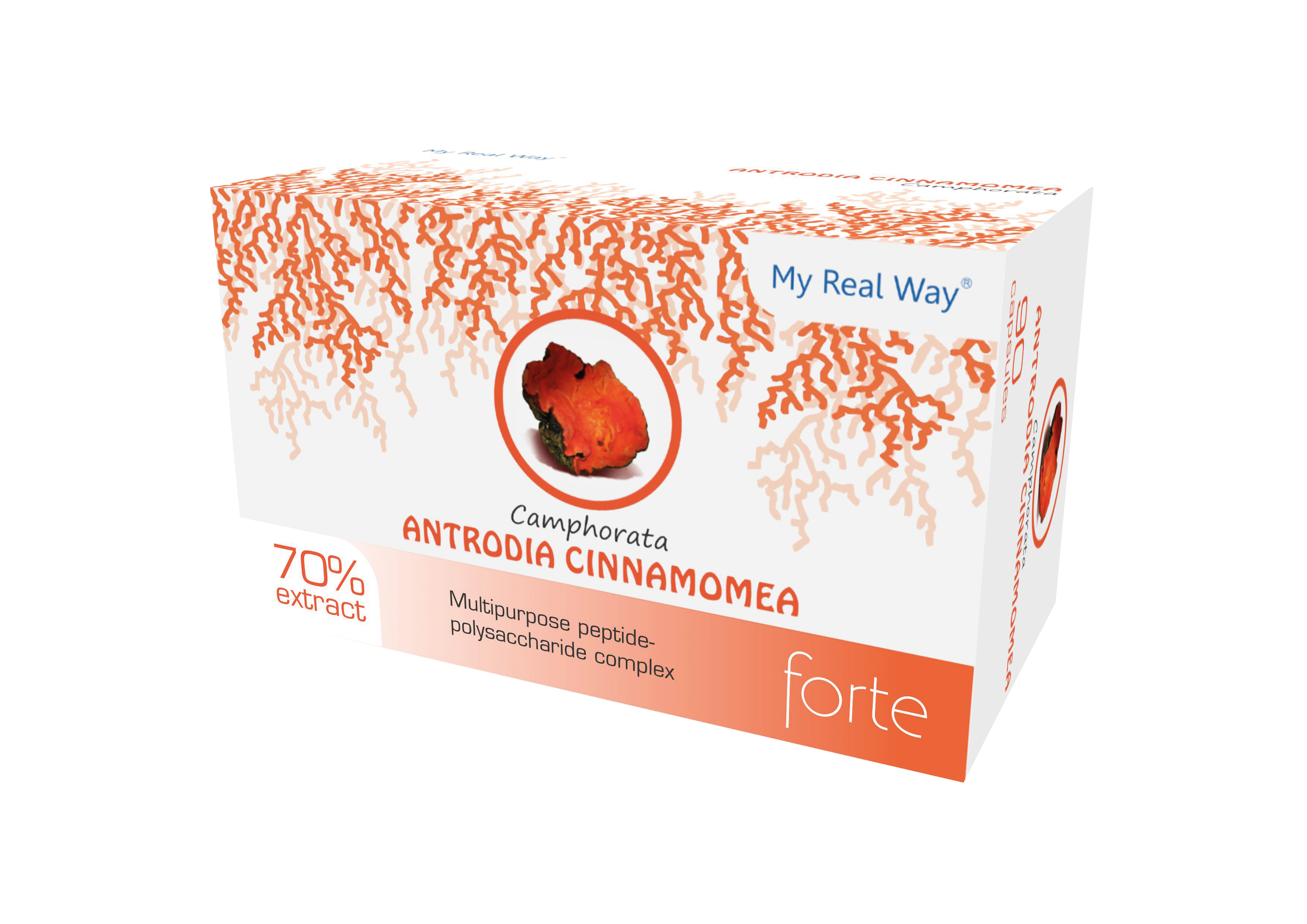 Integratore Antrodia Cinnamonea (Camphorata)  – Mico-ciclopeptidi