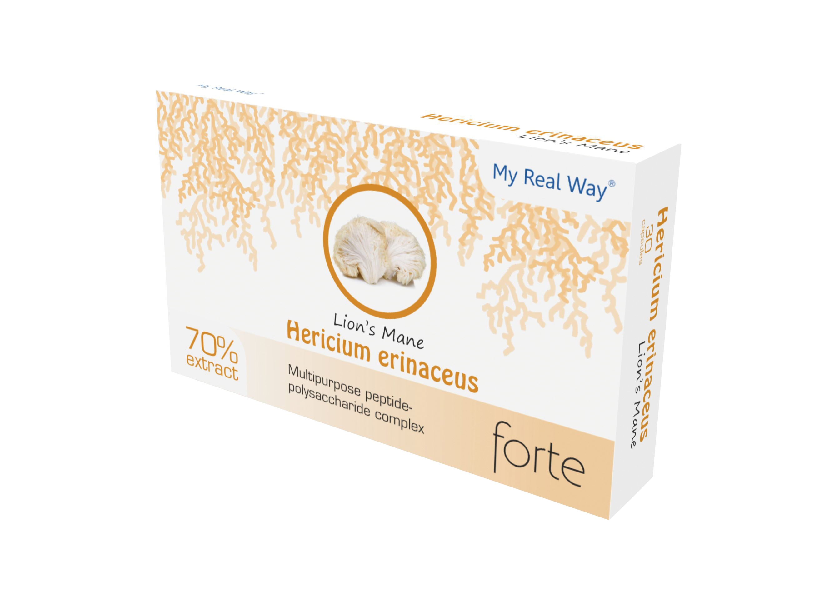 Hericium Erinaceus Lion's Mane 30 cps – Mico-ciclopeptidi